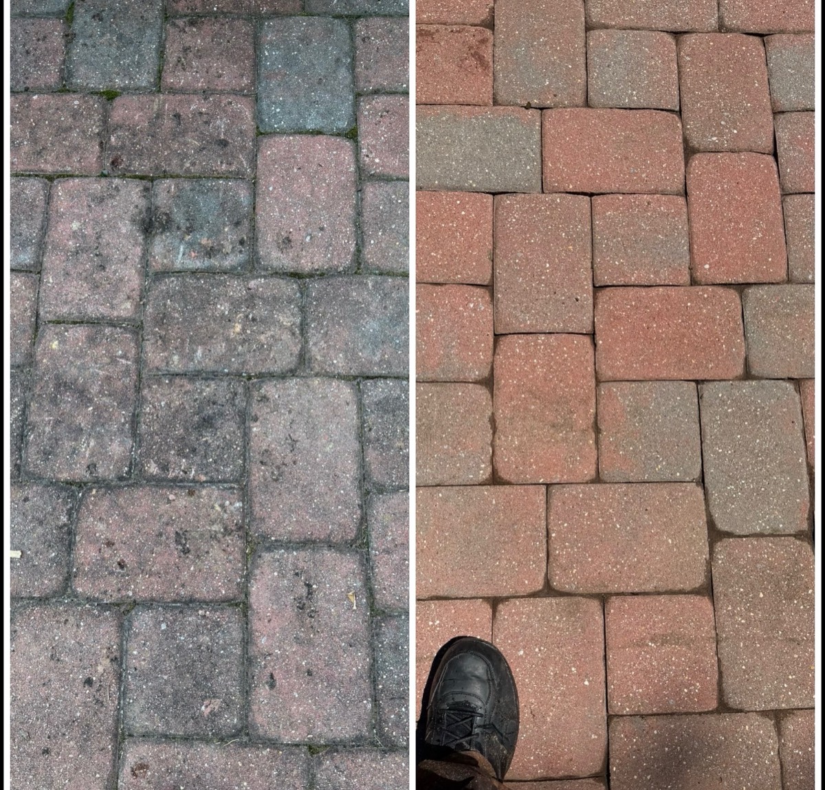 Before and after: a dirty paver walkway restored by DMAC power washing