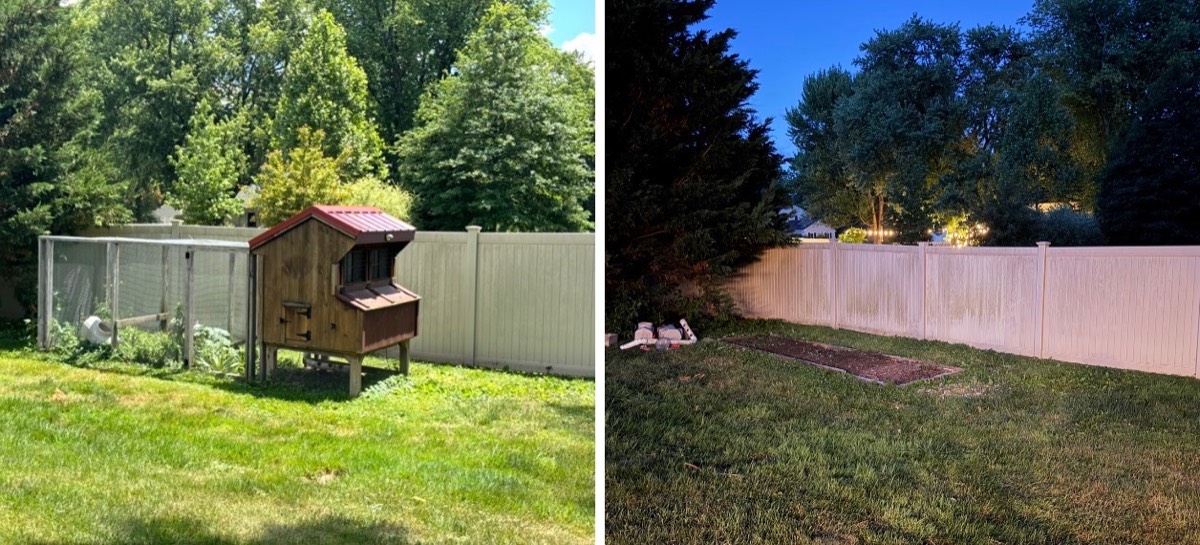 Before and after: a backyard shed and chicken coop removed by DMAC Junk Removal