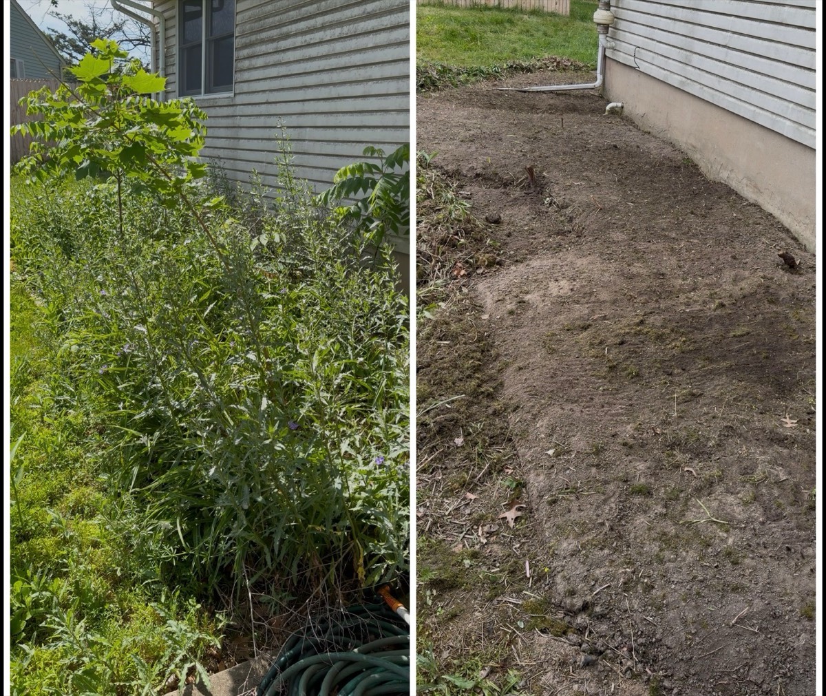 Before and after: an overgrown yard cleared out by DMAC Junk Removal